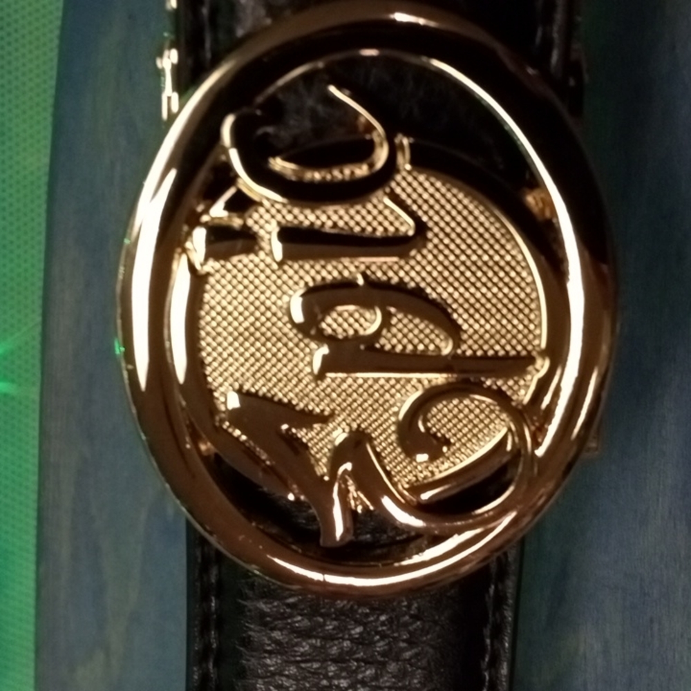 Epic Belt - Picture 2 of 6